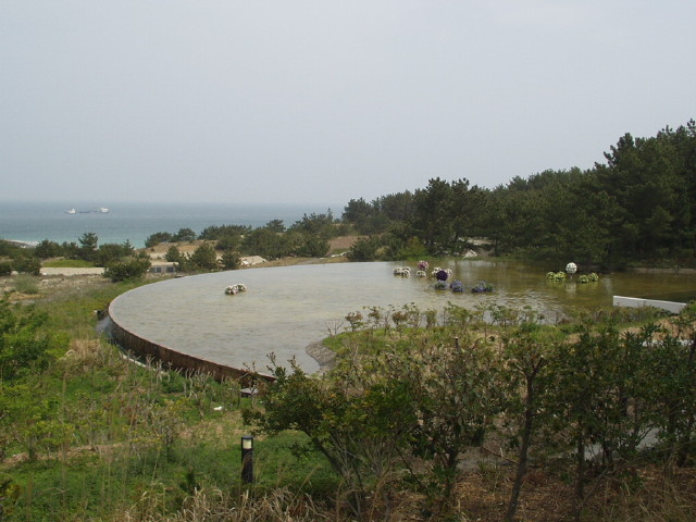 img0080.jpg