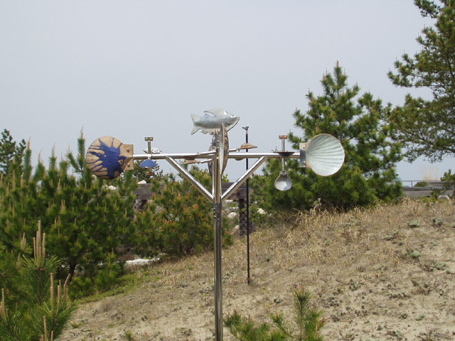 img0081.jpg