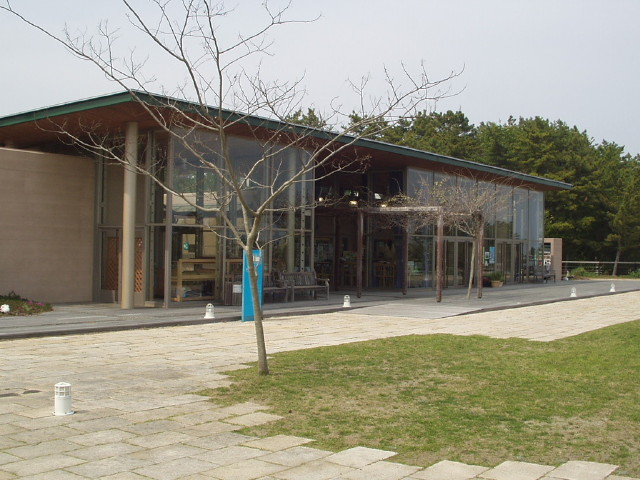 img0082.jpg