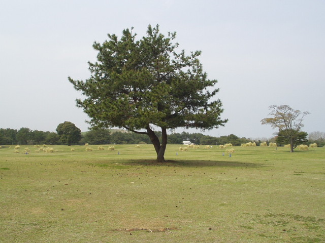 img0085.jpg