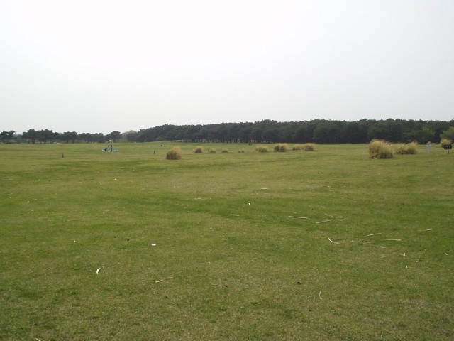 img0087.jpg
