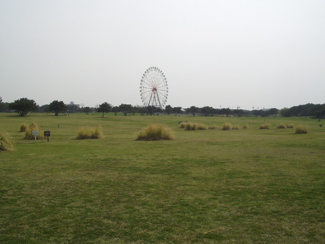 img0088.jpg