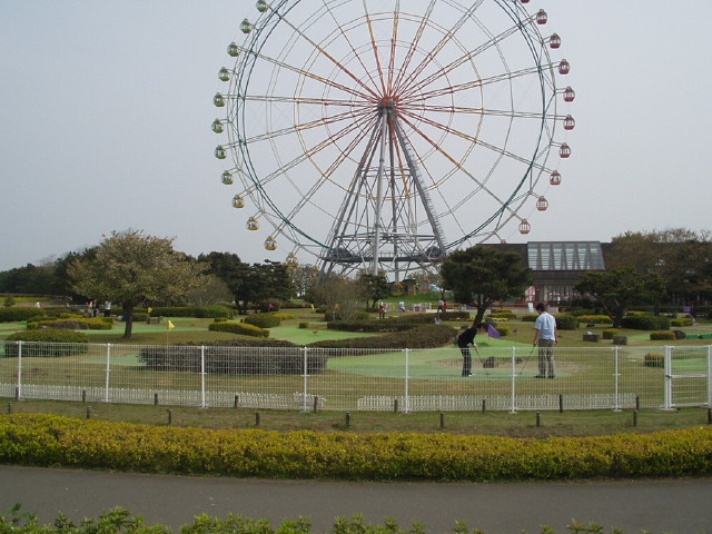 img0091.jpg
