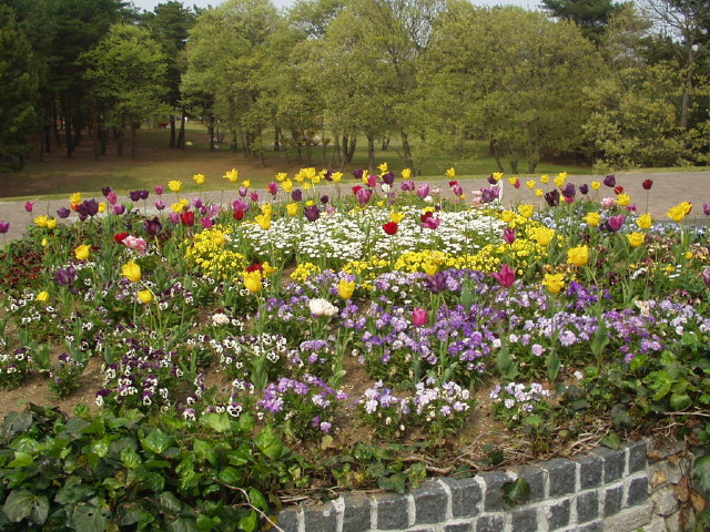 img0092.jpg
