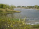img0009.jpg