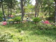 img0010.jpg