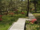 img0011.jpg