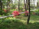 img0012.jpg