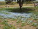 img0014.jpg