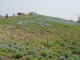 img0016.jpg