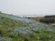 img0019.jpg