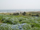 img0022.jpg