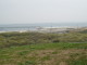 img0026.jpg