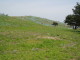 img0032.jpg