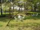 img0034.jpg