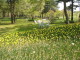 img0036.jpg