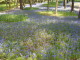 img0037.jpg