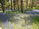 img0038.jpg