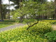 img0041.jpg