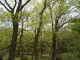 img0042.jpg