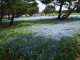 img0049.jpg