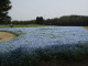 img0050.jpg