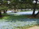 img0051.jpg