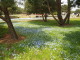 img0053.jpg