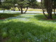 img0054.jpg