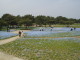 img0056.jpg
