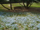 img0057.jpg
