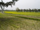 img0064.jpg