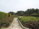 img0067.jpg