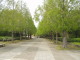 img0069.jpg