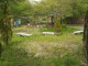 img0071.jpg