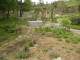 img0072.jpg