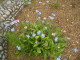 img0073.jpg
