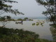 img0077.jpg