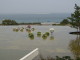 img0078.jpg