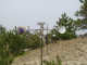 img0081.jpg