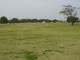 img0086.jpg