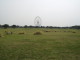 img0088.jpg