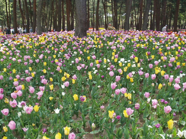 img0000.jpg