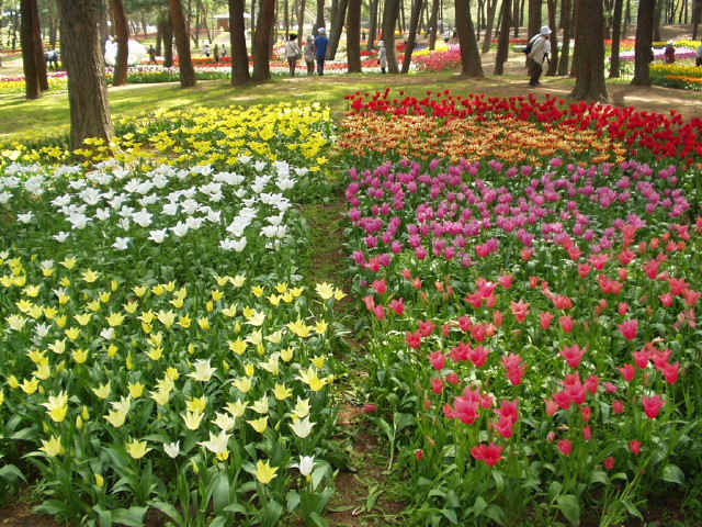 img0003.jpg