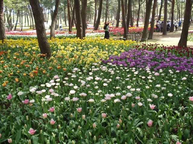 img0004.jpg