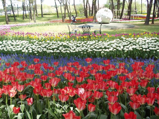img0005.jpg