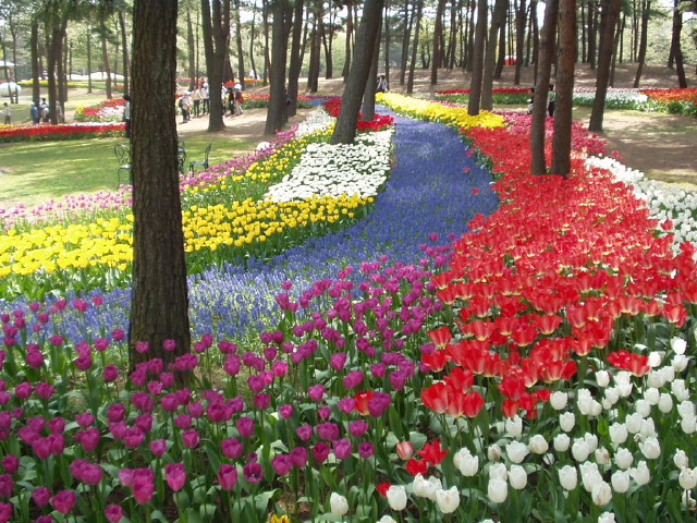 img0006.jpg