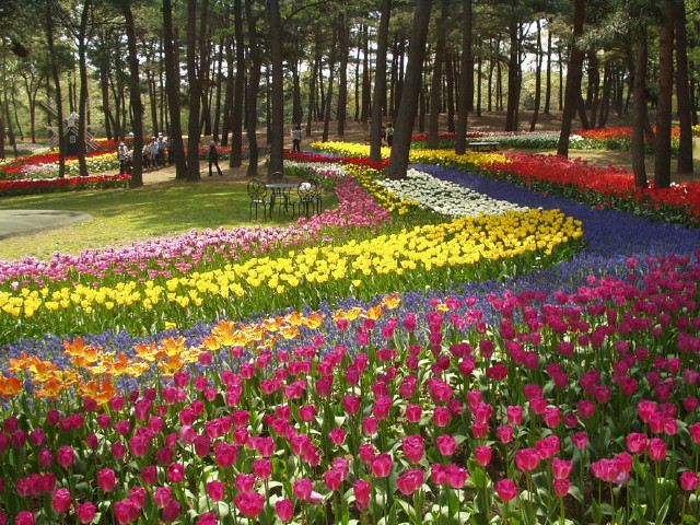 img0007.jpg