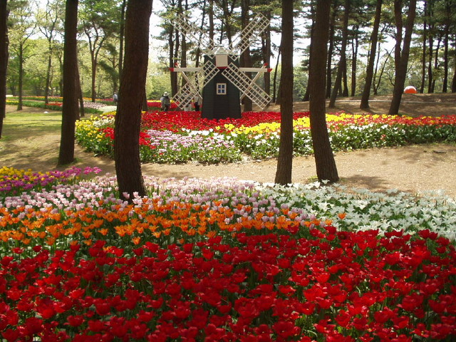 img0009.jpg