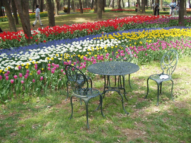 img0010.jpg